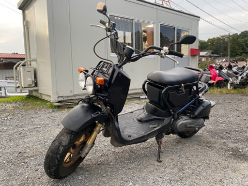 オートショップable 02102011H ホンダ ズーマー 黒 関東圏内 即日配送 激安配送料金3000円〜。 他にも多数出品中！！オートショップableで検索♩ 修理や買取も可能です！クレジット分割、代引き支払い可能！平均在庫日数3日 業者卸にも