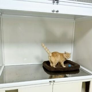 猫ケージ 中古あげます 譲ります ジモティーで不用品の処分