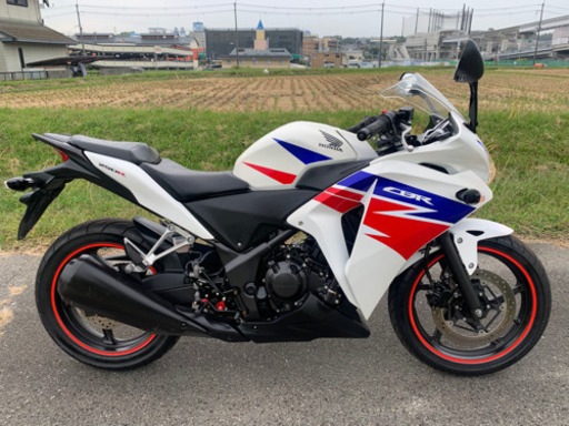 大人気のCBR250R‼️極上車両で‼️低走行整備済みです。値下げ‼️