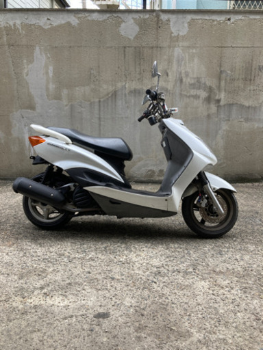シグナス✖️