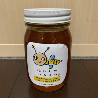 ★手渡希望★ 宗像産ニホンミツバチの蜂蜜550g!