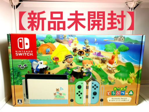 任天堂Switch どうぶつの森同梱版