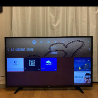 LG49型 最終値下げ