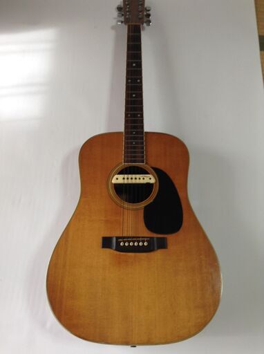 Martin D-35 w/L.R. Baggs PU マーチン 1981年製