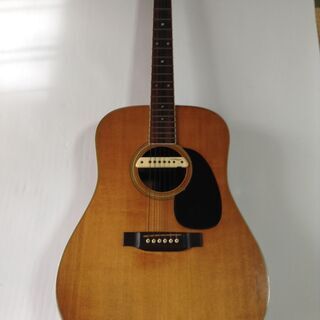 Martin D-35 w/L.R. Baggs PU マーチン 1981年製