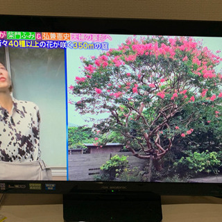 24型液晶テレビ