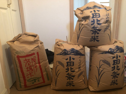 茨城県産 コシヒカリ玄米 新米30キロ＋古米60キロ＋10キロ
