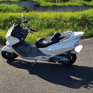 フォルツァ　ローダウン　mf06 FORZA　白 フォルツァ ローダウン mf06 FORZA 白