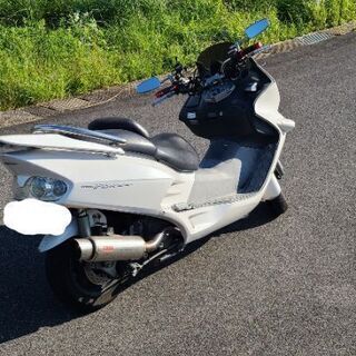 フォルツァ　ローダウン　mf06 FORZA　白 フォルツァ ローダウン mf06 FORZA 白