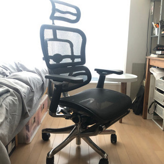 エルゴヒューマン（2020.8.28購入）