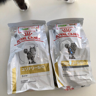 猫用療法食　ロイヤルカナン　ユリナリーS/Oライト
