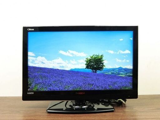 【ハッピー西葛西店】19インチ　液晶テレビ　CANDELA[カンデラ]　ID:53264