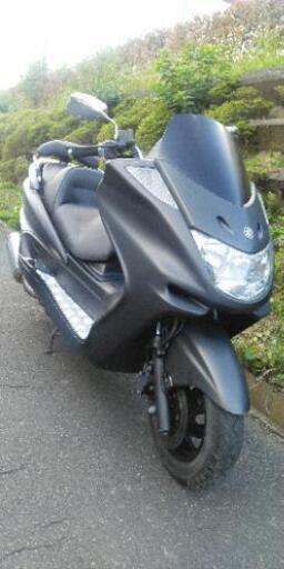 マジェスティC　限定車　(1258)