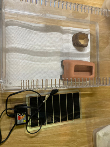 爬虫類飼育セット