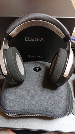 focal elegia 目立つ傷無し