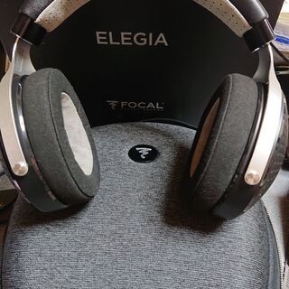 focal elegia 目立つ傷無し