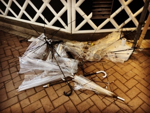 マニアックな趣味友達募集してます しーな 新宿のその他のメンバー募集 無料掲載の掲示板 ジモティー