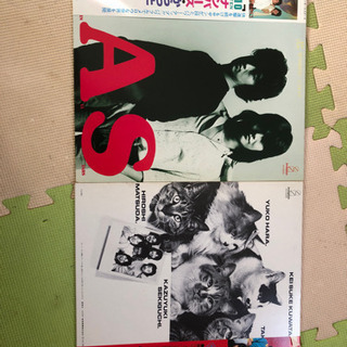 【ネット決済】サザンオールスターズ レコード　(LP2枚)