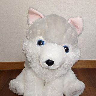 Ufoキャッチャーぬいぐるみ オオカミ Yukio 南浦和のおもちゃ ぬいぐるみ の中古あげます 譲ります ジモティーで不用品の処分 Ufoキャッチャーぬいぐるみ オオカミ Yukio 南浦和のおもちゃ ぬいぐるみ の中古あげます 譲ります ジモティーで不用品の処分