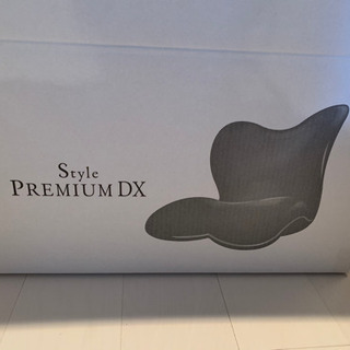 Style PREMIUM DX 新品未使用 - 家具