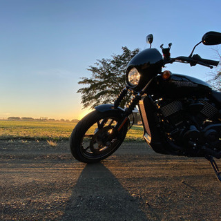 ハーレーダビットソンXG750ストリート2018年式 【公式通販】