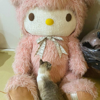 金額未定　超特大キティ　ぬいぐるみ