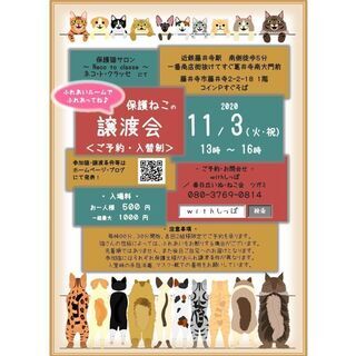 藤井寺市　予約制　保護猫譲渡会