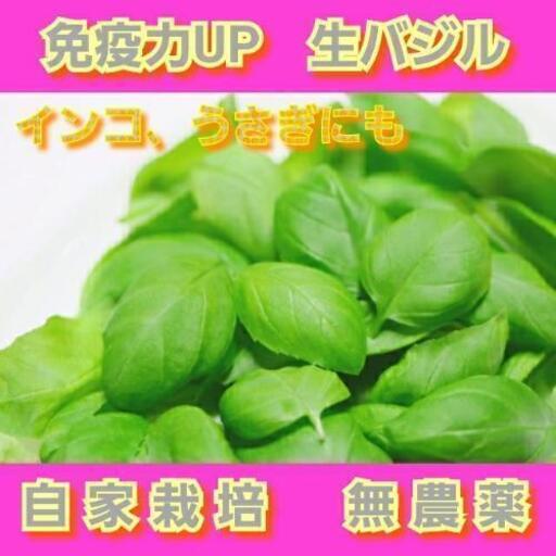 効能たくさん 自家栽培無農薬生スイートバジル60g ラテママ 成増の食品の中古あげます 譲ります ジモティーで不用品の処分
