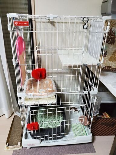 決まりました。ありがとうございました。
