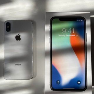iPhoneX SIMフリー institutoloscher.net