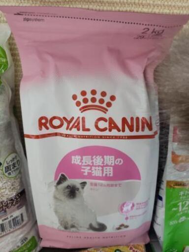 猫 飼育セット フード トイレ ブラシ等 くりーむぱん 小岩のその他の中古あげます 譲ります ジモティーで不用品の処分