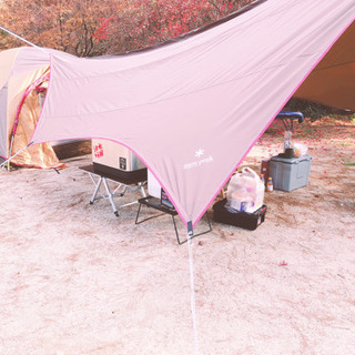 🏕スノーピーク タープ　キャンプ、デイキャンプに