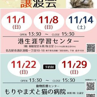 11月29日(日) 猫の譲渡会 名古屋市守山区 　もりやま犬と猫の病院※来場予約制※ みなと猫の会 主催 - イベント