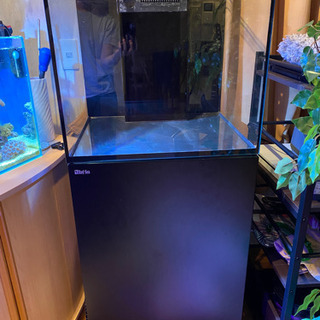 RedSea reefer170 リーファー 水槽 サンゴ オーバーフロー RedSea reefer170 リーファー 水槽 サンゴ オーバーフロー