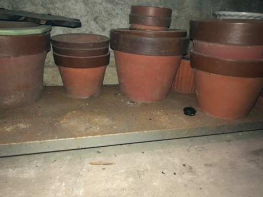 植木鉢 40鉢くらい その他庭の手入れ道具があります Ryo 高槻のその他の中古あげます 譲ります ジモティーで不用品の処分 植木鉢 40鉢くらい その他庭の手入れ道具があります Ryo 高槻のその他の中古あげます 譲ります ジモティーで不用品の処分