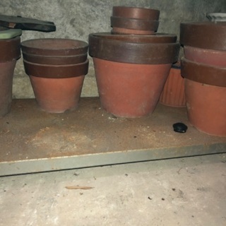 植木鉢 40鉢くらい。 その他庭の手入れ道具があります。
