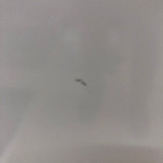 【訳あり】2015年製★シャープ★137L 2ドア★冷蔵庫