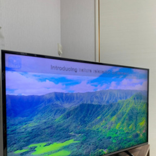 パナソニック 4K テレビ　2015年製