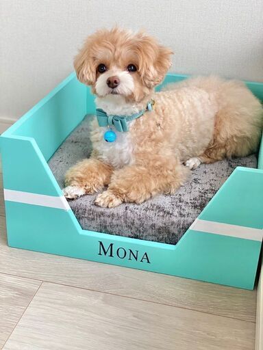 あなたの愛犬専用の犬小屋をデザインします ペット家具職人 港の手伝いたい 助けたいの助け合い ジモティー