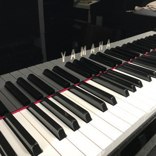 ヤマハ N1 アバングランド 2018年製