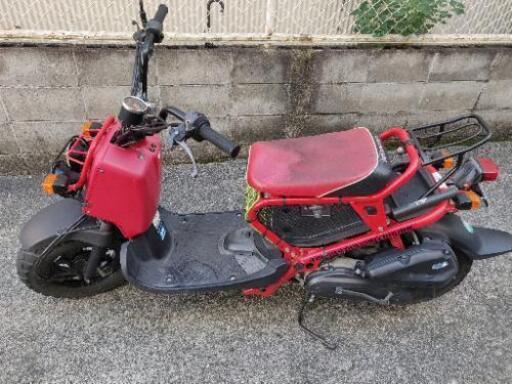 HONDA　ズーマー　AF58 special edition