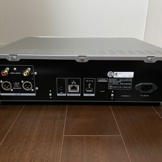 SONY HAP-Z1ES