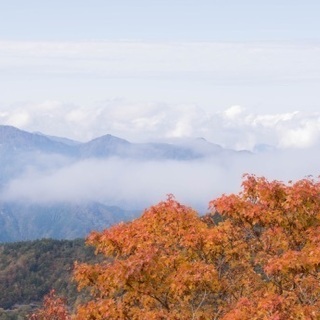 写真仲間募集！！ − 愛媛県