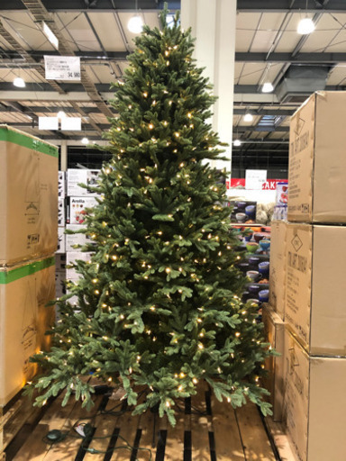 クリスマスツリー