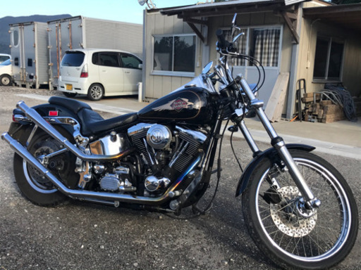 ハーレーダビッドソン FXSTC 後期エボ 1998年式 ハーレーダビッドソン