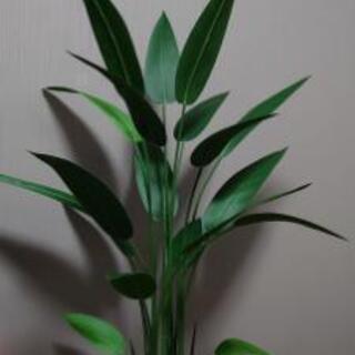 【ネット決済】人工観葉植物 ストレリチア・レギネ 1.5m