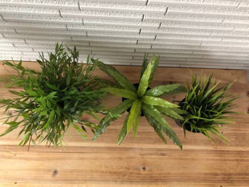 47 Ikea 造花 観葉植物 インテリア おしゃれ ニトリ 机やキッチンに ちゃい 大阪の家具の中古あげます 譲ります ジモティーで不用品の処分 47 Ikea 造花 観葉植物 インテリア おしゃれ ニトリ 机やキッチンに ちゃい 大阪の家具の中古あげます 譲ります ジモティーで不用品の処分