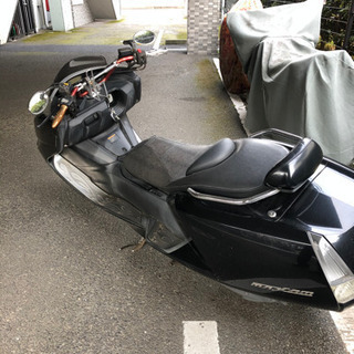 訳ありだらけのマグザム | tarabyavetlife.com