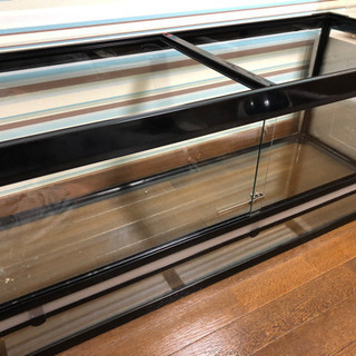 爬虫類飼育用品たち