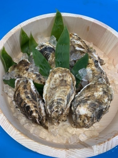 北海道仙鳳趾産牡蠣の直売 発送 A 釧路のその他の無料広告 無料掲載の掲示板 ジモティー